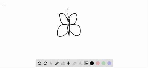 wings-of-a-butterfly