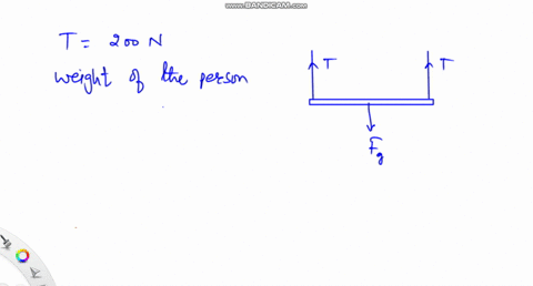 the-sketch-shows-a-painters-scaffold-in-mechanical-equilibrium-the-person-in-the-middle-weighs-250-m