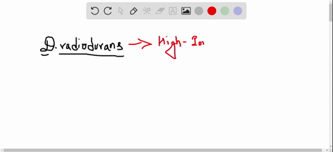 what-is-thought-to-account-for-the-unique-radiation-resistance-of-d-radiodurans