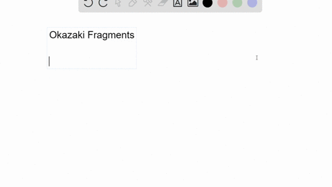 which-enzyme-catalyzes-the-joining-of-okazaki-fragments-3