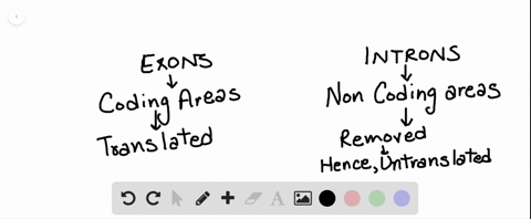 what-are-introns-a-dna-sequences-to-which-polymerases-bind-b-the-processed-mrna-c-translated-dna-seq