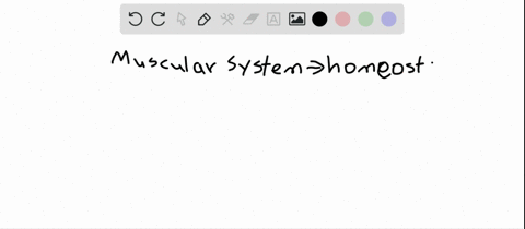 which-of-the-following-is-not-a-role-of-the-muscular-system-in-homeostasis-in-the-body-a-produce-m-2
