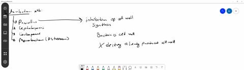 penicillin-an-antibiotic-inhibits-the-formation-of-cross-links-between-sugar-groups-in-peptidoglyc-2