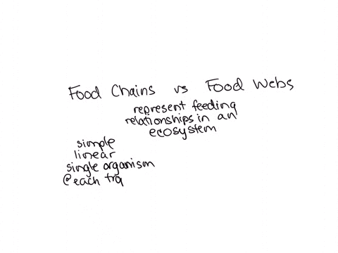 how-do-food-chains-and-food-webs-differ-which-is-the-more-accurate-representation-of-feeding-relatio