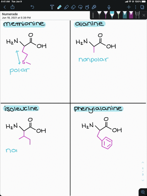 classify-each-of-the-amino-acids-in-problem-165-as-polar-or-nonpolar-if-polar-indicate-if-the-mathrm