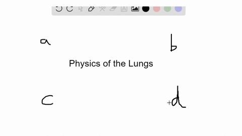 air-enters-the-human-lungs-because-a-atmospheric-pressure-is-lower-than-the-pressure-inside-the-lu-4