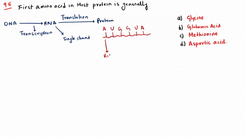 in-most-of-the-proteins-the-first-amino-acid-is-a-glycine-b-glutamic-acid-c-methionine-d-aspartic-ac