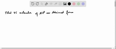 how-many-molecules-of-atp-are-obtained-from-the-complete-including-the-fourth-stage-of-catabolism-me