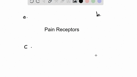 what-type-of-receptor-cell-is-responsible-for-transducing-pain-stimuli-a-mechanoreceptor-b-nocicepto