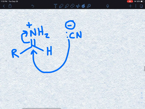 which-of-the-primary-methods-of-amino-acid-synthesis-results-in-an-optically-active-solution-a-the-2
