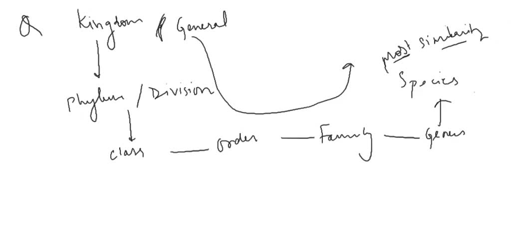 solved-figure-9-4-shows-the-hierarchy-of-name-servers-how-would-you