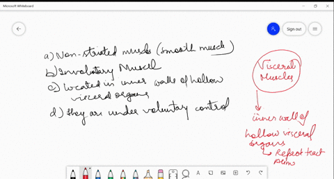 which-of-the-following-is-incorrect-about-visceral-muscles-a-non-striated-muscle-smooth-muscle-b-inv