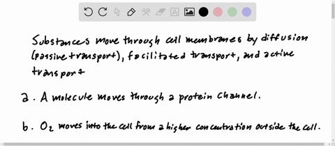 identify-the-type-of-transport-described-by-each-of-the-following-a-a-molecule-moves-through-a-prote