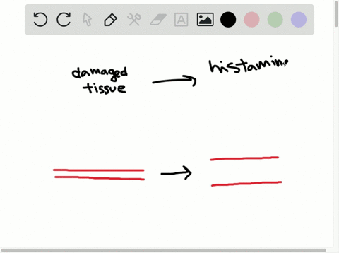 which-of-the-following-is-most-directly-responsible-for-the-increase-in-capillary-permeability-durin