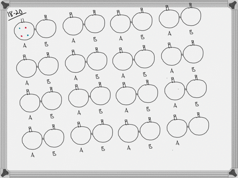 suppose-you-have-four-identical-molecules-labeled-123-and-4-draw-16-simple-two-flask-diagrams-as-i-2