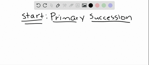 primary-succession-begins-a-soon-after-a-disturbance-ends-b-at-varying-times-after-a-disturbance-e-2