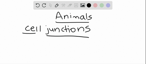 which-statement-about-animal-cell-junctions-is-not-true-a-tight-junctions-are-barriers-to-the-passag