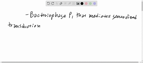 bacteriophage-mathrmp-1-mediates-generalized-transduction-in-e-coli-a-p1-transducing-lysate-was-prep