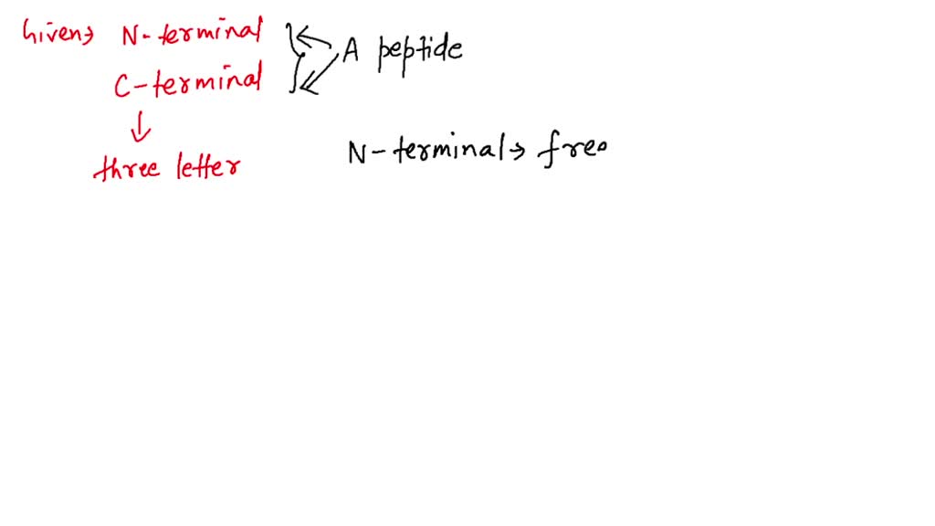 ⏩SOLVED:(a) Identify the amino acids present in the peptide shown ...