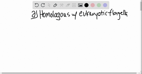 bacterial-flagella-a-are-homologous-with-eukaryotic-flagella-b-exhibit-a-rotary-motion-c-consist-o-5