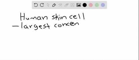 the-three-most-abundant-elements-in-a-human-skin-cell-are-a-calcium-carbon-and-oxygen-b-carbon-hyd-2