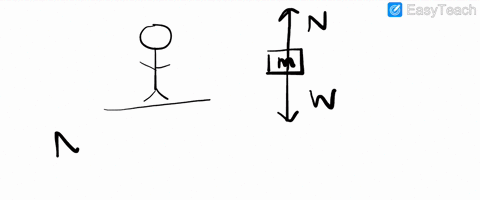 a-person-standing-on-a-horizontal-floor-feels-two-forces-the-downward-pull-of-gravity-and-the-upward