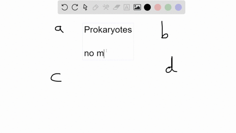 prokaryotic-cellular-organization-is-characterized-by-all-of-the-following-except-a-lipid-bilayer-pl