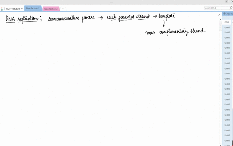 define-replication-transcription-and-translation-2