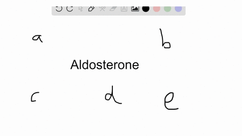 which-of-the-following-is-not-correct-regarding-aldosterone-a-it-is-produced-by-the-adrenal-cortex-2