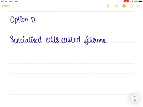 flame-cells-helps-in-excretion-and-osmoregulation-in-a-earthworm-b-hookworm-c-roundworm-d-tapeworm