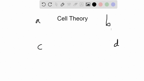 which-of-the-following-statements-is-not-part-of-the-cell-theory-a-all-organisms-are-composed-of-o-3