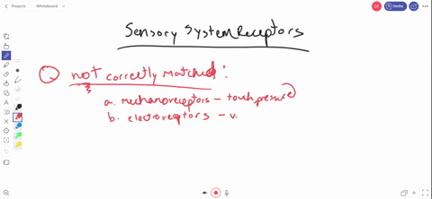 which-of-the-following-is-not-a-correct-match-a-mechanoreceptors-touch-pressure-b-electroreceptors-v