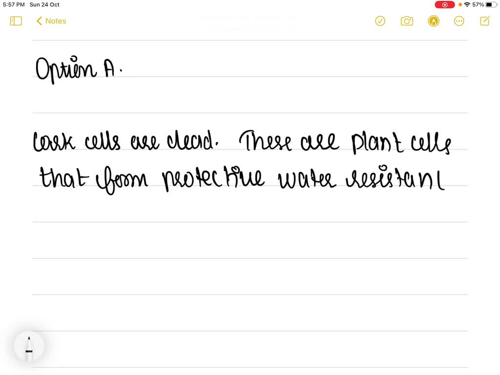 SOLVEDCork cells are (a) Dead (b) Photosynthetic (c) Elongated and