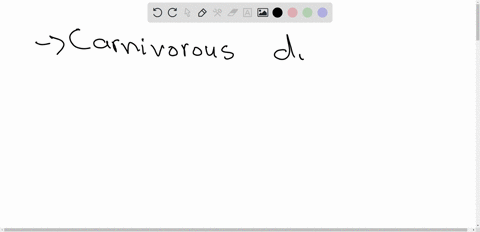 which-type-of-diet-carnivorous-or-herbivorous-provides-more-food-value-to-any-given-living-organism