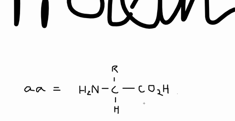 what-are-proteins-are-proteins-polymers-explain-what-molar-mass-ranges-are-shown-by-proteins-what-fr