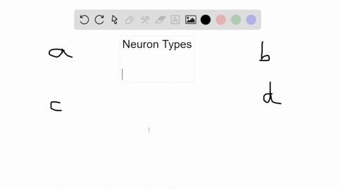 an-_____-has-one-axon-and-no-dendrites-a-sensory-neuron-b-motor-neuron-c-interneuron-d-neuroglial-ce