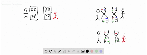 similarities-in-_____-are-the-basis-of-similarities-in-traits-a-karyotype-b-dna-sequence-c-the-doubl