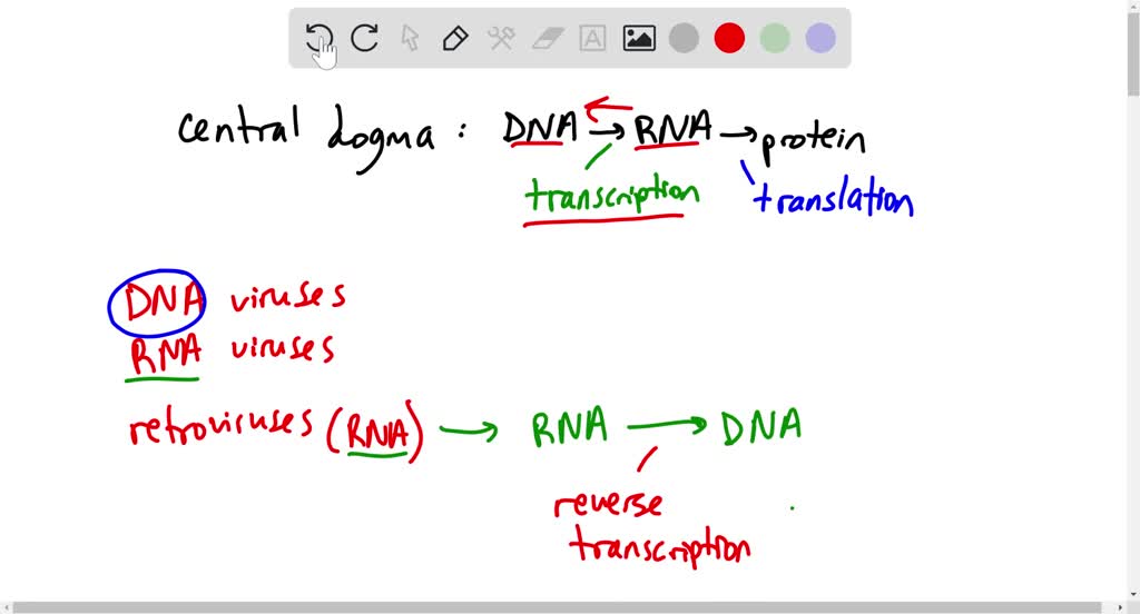 SOLVEDWhat part of central dogma is not always followed in viruses? a