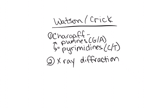 what-evidence-did-watson-and-crick-have-at-their-disposal-in-1953-what-was-their-approach-in-arriv-3
