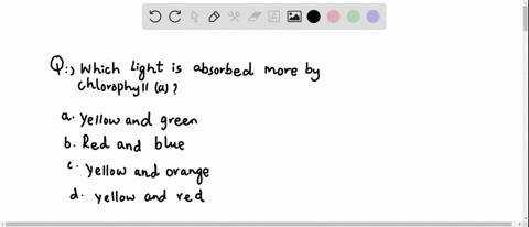 which-light-is-absorbed-more-by-chlorophyll-a-a-yellow-and-green-b-red-and-blue-c-yellow-and-orange-