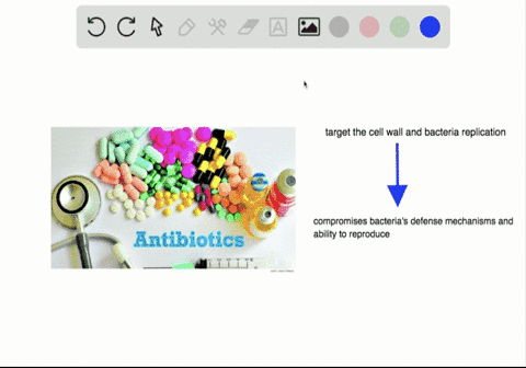 antibiotics-are-medicines-that-are-used-to-fight-bacterial-infections-these-medicines-kill-prokaryot