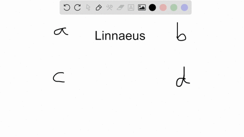 linnaeus-a-was-the-first-person-to-name-species-b-was-the-first-person-to-present-the-concept-of-evo