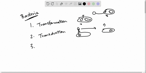 bacteria-transfer-plasmids-by-_________-a-prokaryotic-fission-b-endospore-formation-c-conjugation-d-