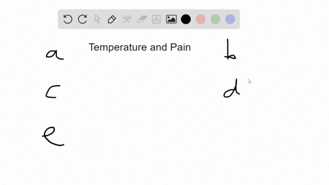 in-the-human-response-to-temperature-or-pain-a-mathrmall-mathrmca2-channels-act-as-pain-receptors-b-