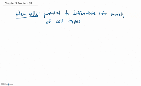 how-stem-cells-might-be-used-to-help-a-patient-who-has-a-damaged-spinal-cord