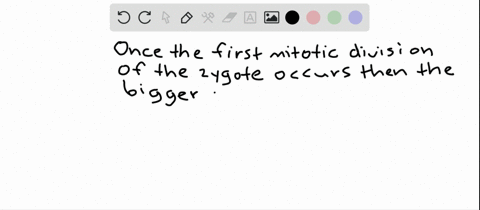 after-the-first-mitotic-division-of-the-zygote-the-larger-of-the-two-cells-becomes-the-a-embryo-b-en