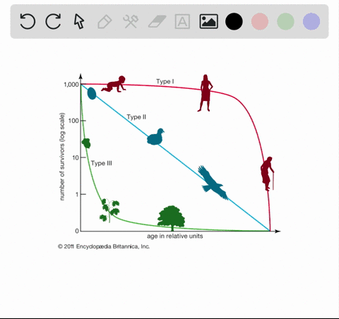 _____-survivorship-curves-are-usually-associated-with-organisms-that-have-high-mortality-rates-in-th