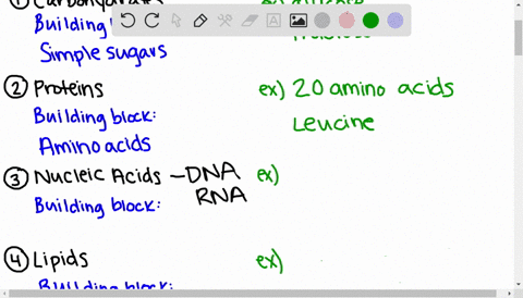 all-of-the-following-except-______-are-building-blocks-or-energy-sources-in-cells-a-fatty-acids-b-si