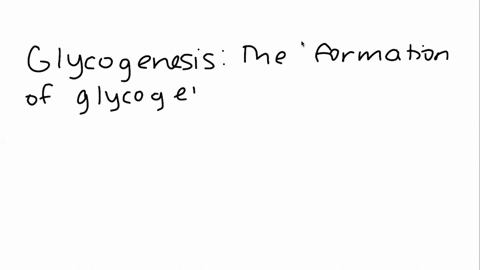 what-is-meant-by-the-term-glycogenesis