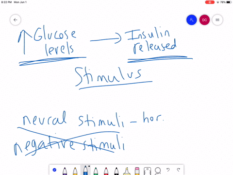 a-rise-in-blood-glucose-levels-triggers-release-of-insulin-from-the-pancreas-this-mechanism-of-hormo